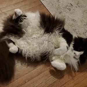 Meet your Posher, Mark